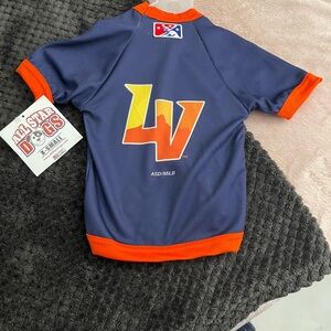 Las Vegas aviators dog shirt